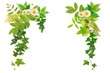 사진:葉っぱ素材 葉っぱ素材