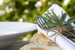 Summer place setting