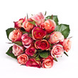 bunch of roses bunch of roses