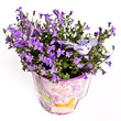 violet flowers in vase violet flowers in vase