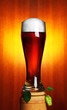 beer and hop beer and hop