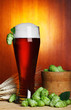 beer with hop and wheat still-life beer with hop and wheat still-life