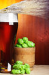 beer with hop and wheat still-life beer with hop and wheat still-life