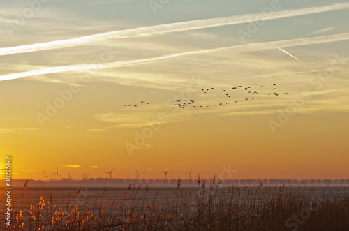 Photo: Flying birds at dawn in winter Flying birds at dawn in winter