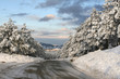 winter road