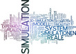 Simulation