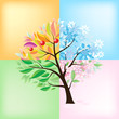Vektor: Four Seasons Tree Four Seasons Tree