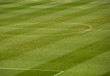 Grass, Soccer field Grass, Soccer field