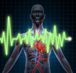 ECG and EKG  Cardiovascular System