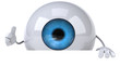 Oeil
