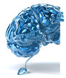 Cerveau