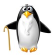 pinguino anziano