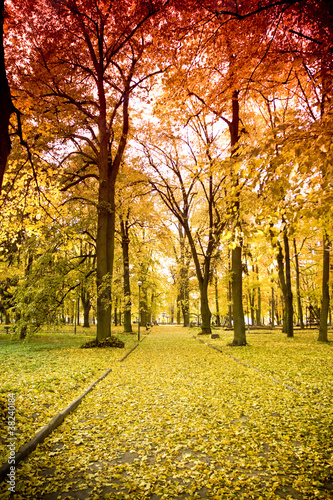 Photo: Park jesienią Park jesienią