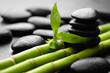 Growth