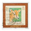 Photo: Mail stamp printed in Jersey featuring a dairy cow, circa 1979 Mail stamp printed in Jersey featuring a dairy cow, circa 1979