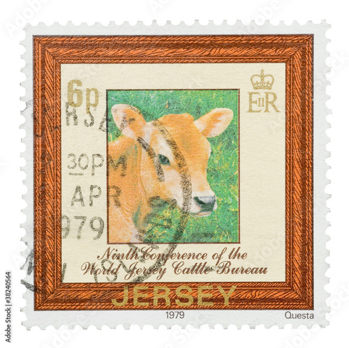 Photo: Mail stamp printed in Jersey featuring a dairy cow, circa 1979 Mail stamp printed in Jersey featuring a dairy cow, circa 1979