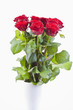 Foto: rote Rosen rote Rosen