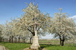 Wegkreuz