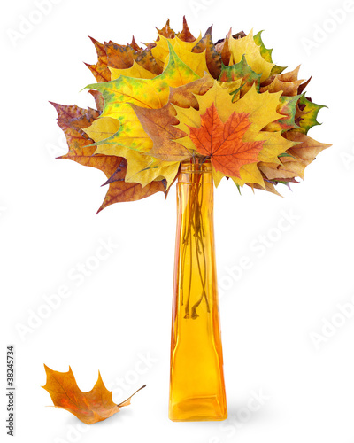 Photo: Autumn leaves in a vase isolated on white Autumn leaves in a vase isolated on white