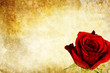 vintage rose background