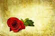 vintage rose card