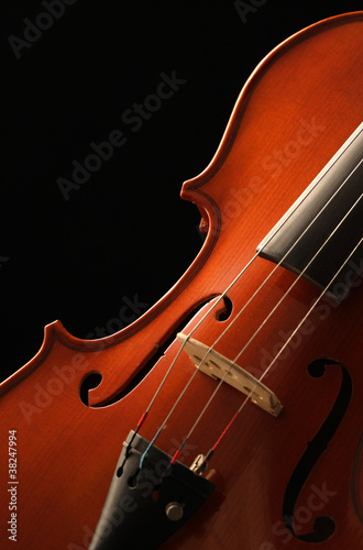 Photo: violin violin