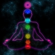Human chakra system