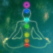 Human chakra system