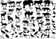 Vector: black birds and animals with tracks black birds and animals with tracks