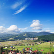 green mountain landscape with trees in Carpathians.