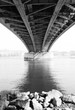 the bridge