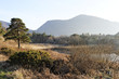 Photo en ligne au meilleur prix Killarney national park, kerry, Ireland