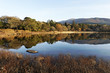 Killarney national park, kerry, Ireland