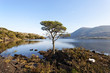 Killarney national park, kerry, Ireland