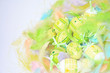 Easter eggs with feathers