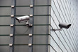 Security cameras