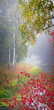 Vertical panorama of Autumn morning