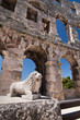 the amphitheatre