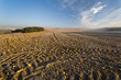 Campo en Saelices