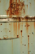 Rost