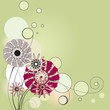 flowers, the vignette