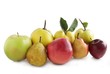 fruits