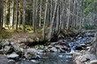 A quiet mountain stream