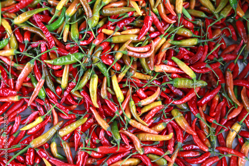 Photo: colorful hot peppers colorful hot peppers