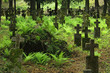 Old 19th century graveyard in Khust, Ukraine