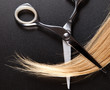 scissors