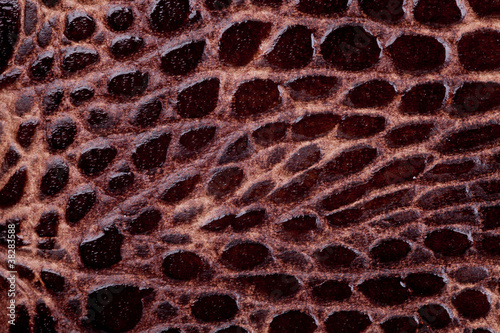 Photo: leather texture leather texture