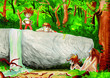 lutin