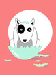puppy Bull Terrier birth from egg