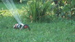 Sprinkler